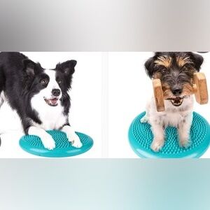 Inflated Wobble Cushion Blue